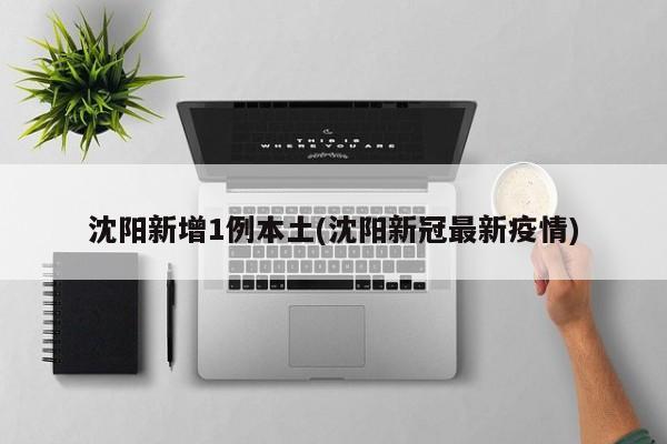 沈阳新增1例本土(沈阳新冠最新疫情)