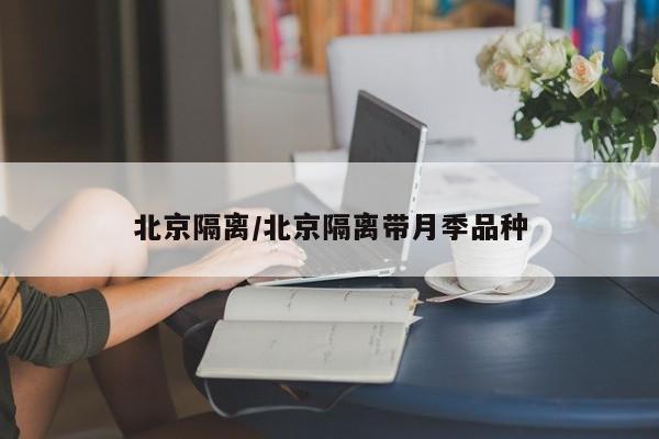 北京隔离/北京隔离带月季品种